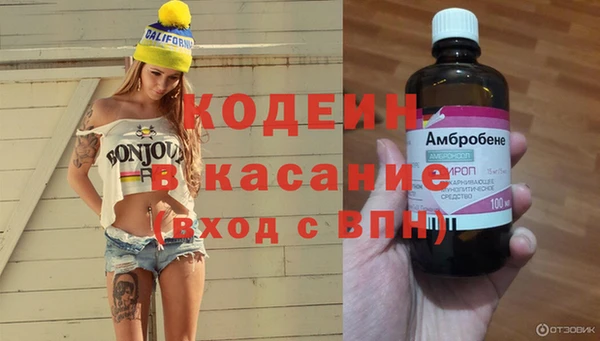 дмт Алзамай