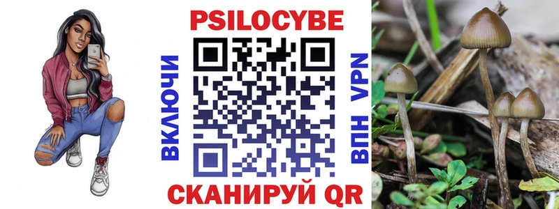 Псилоцибиновые грибы мицелий  где продают наркотики  Апатиты 